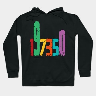 1973 - 197350 Hoodie